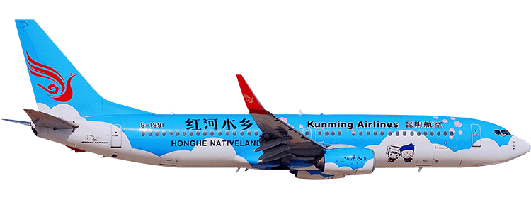 flight status