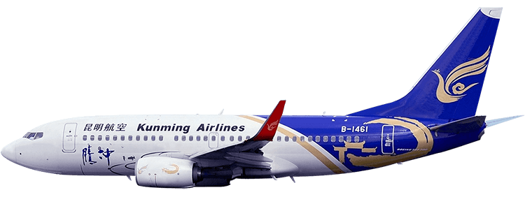 flight status