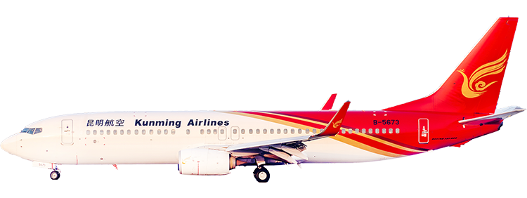 flight status