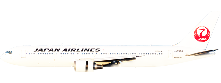 flight status