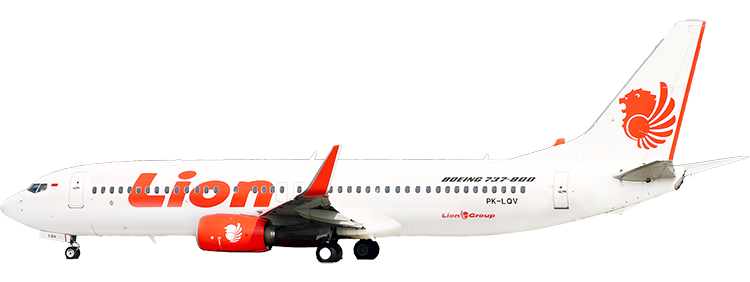 flight status