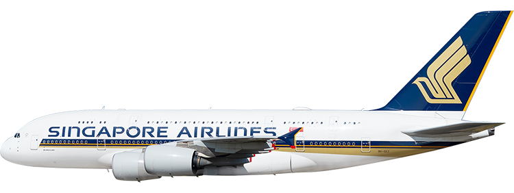 flight status