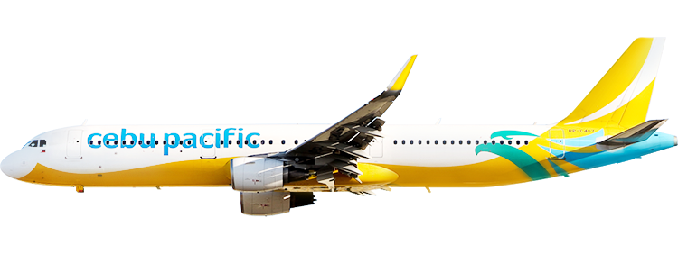 flight status