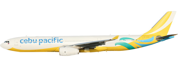 flight status