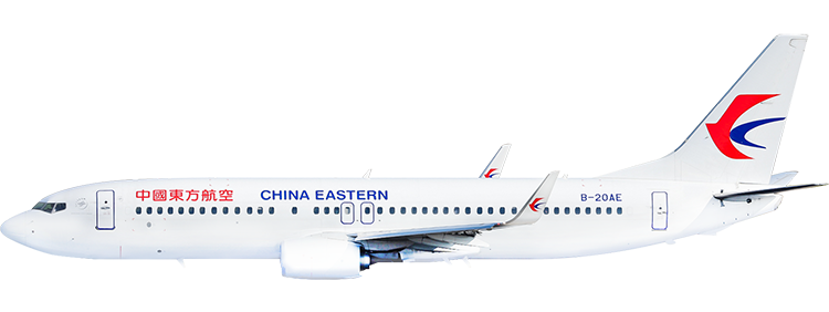 flight status