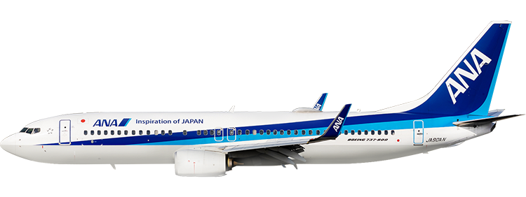 Airline: ANA Boeing 737-800