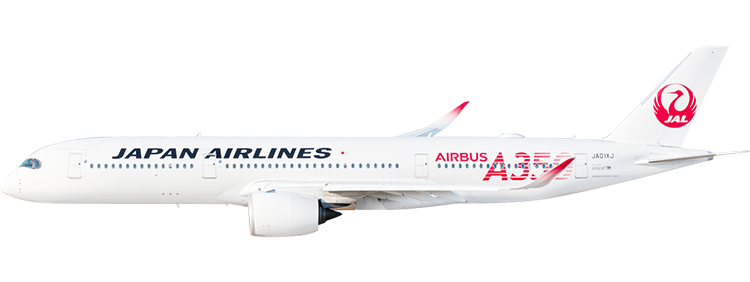 flight status