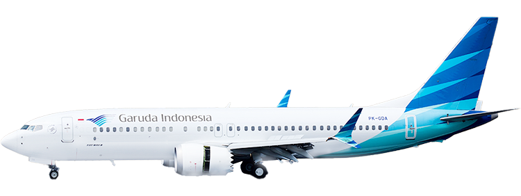 flight status