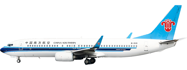 Airline: China Southern Airlines Boeing 737-800