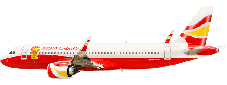 flight status