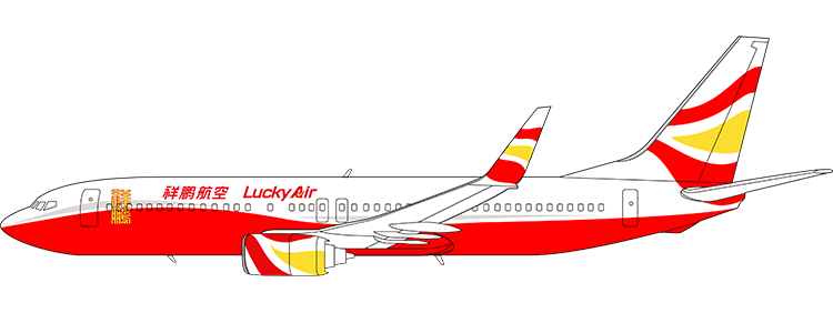 flight status