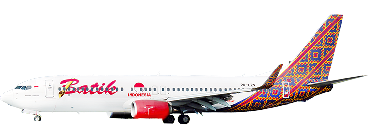 flight status