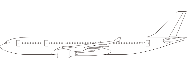 flight status