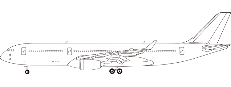 flight status
