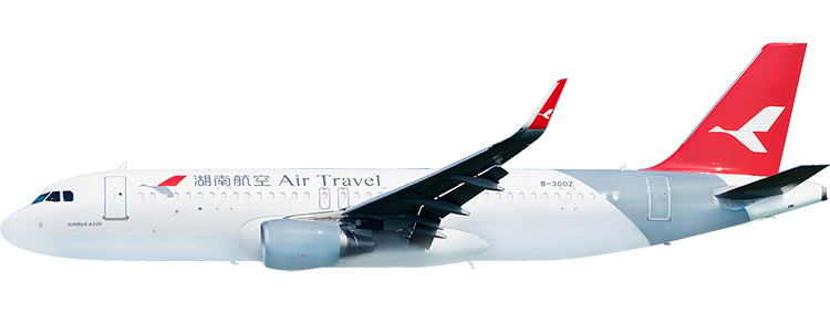 flight status