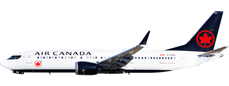 flight status