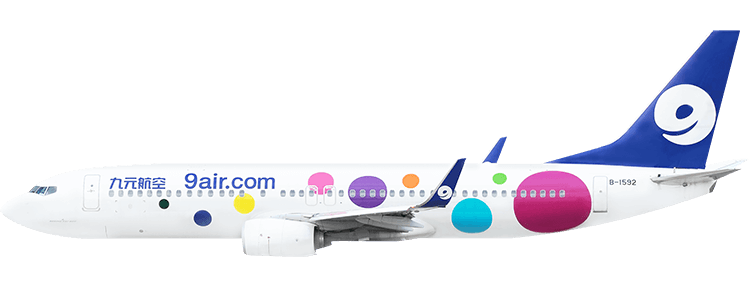 flight status