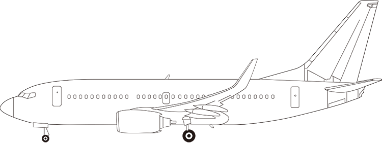 flight status