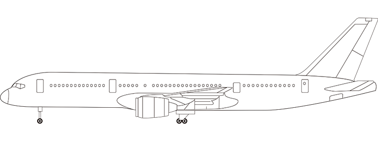 flight status
