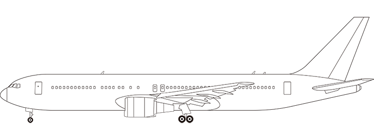 flight status