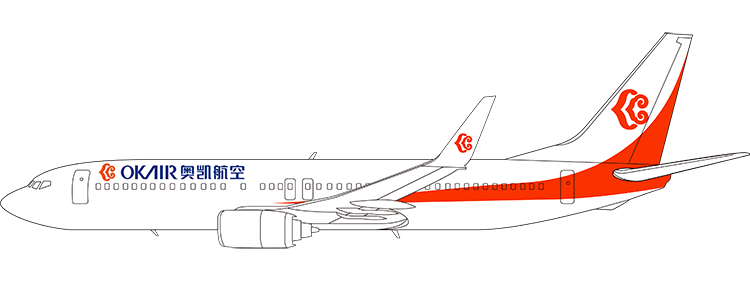 航空公司：奧凱航空 波音737-800