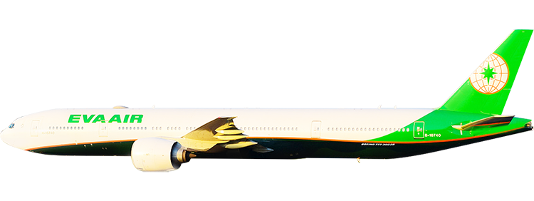 flight status
