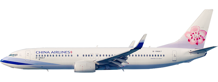 flight status