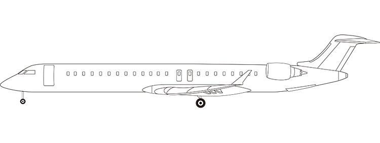 flight status