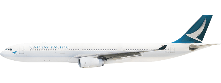 flight status