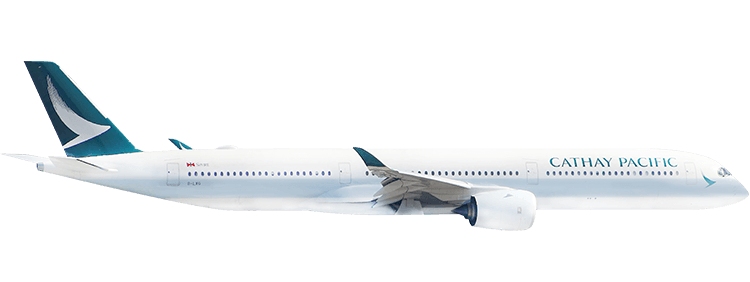 flight status