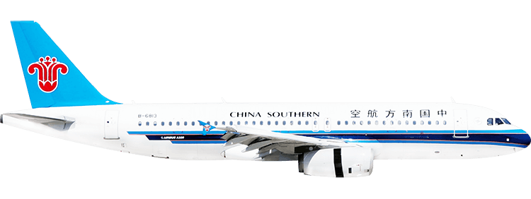 flight status