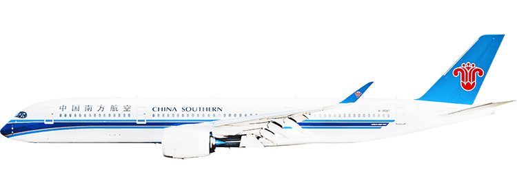flight status
