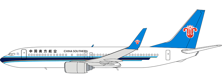 flight status