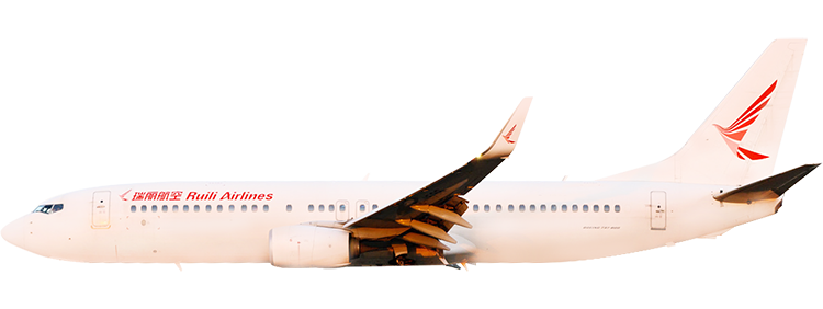 flight status