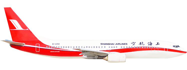 flight status