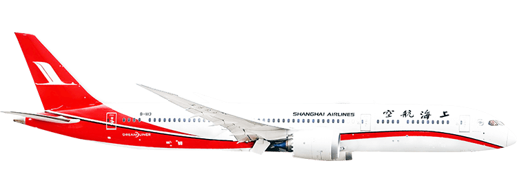 flight status