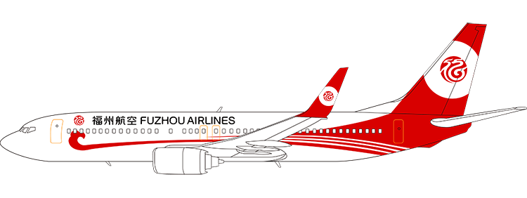 flight status