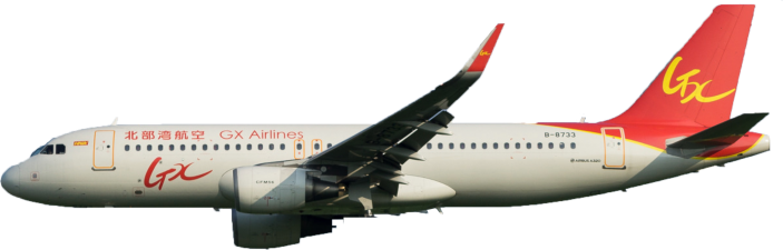 flight status