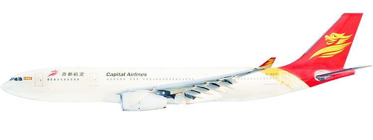 flight status