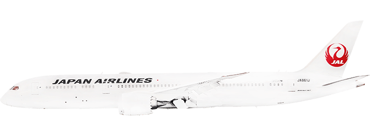 flight status