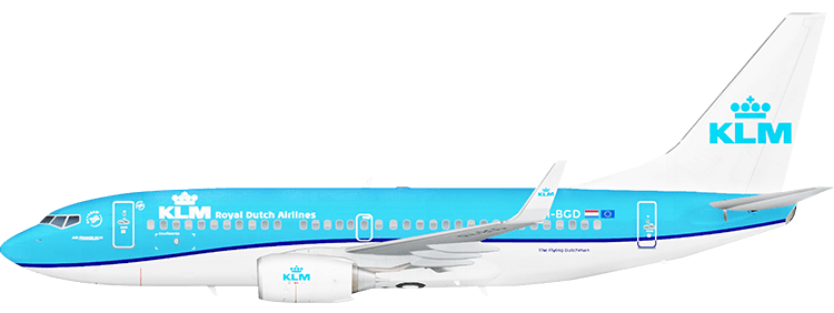 flight status