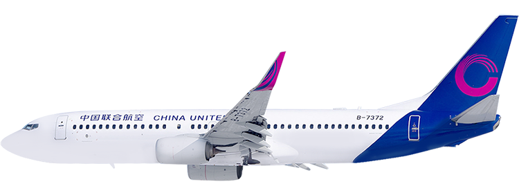 flight status
