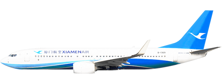 flight status