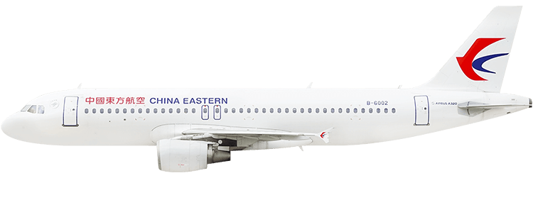 flight status