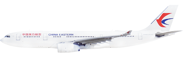 flight status