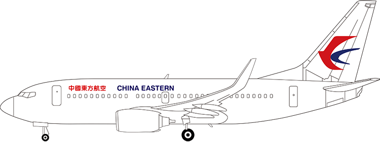 flight status