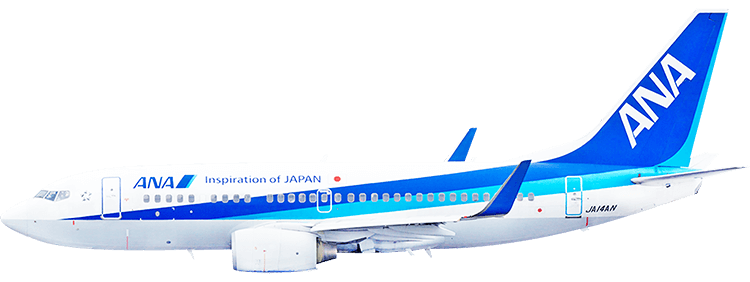 Airline: ANA Boeing 737-200