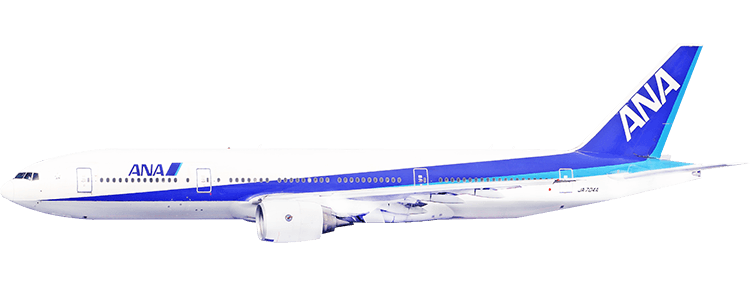 flight status