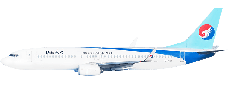 flight status