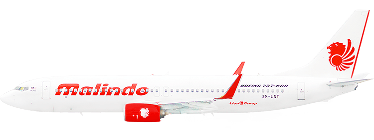 flight status